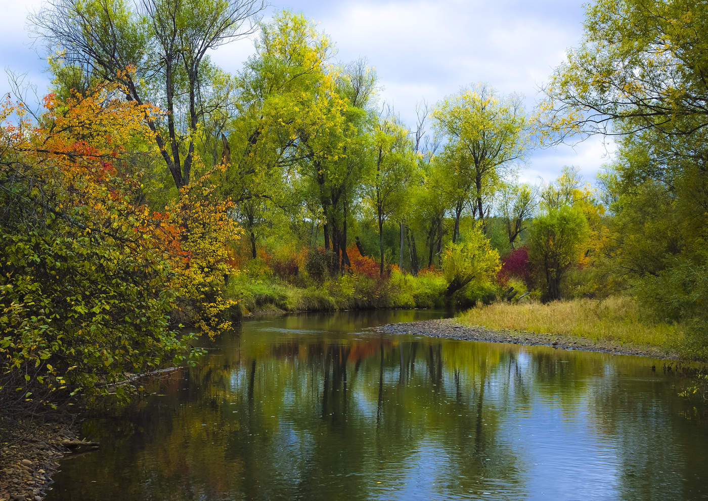 Художница Осень