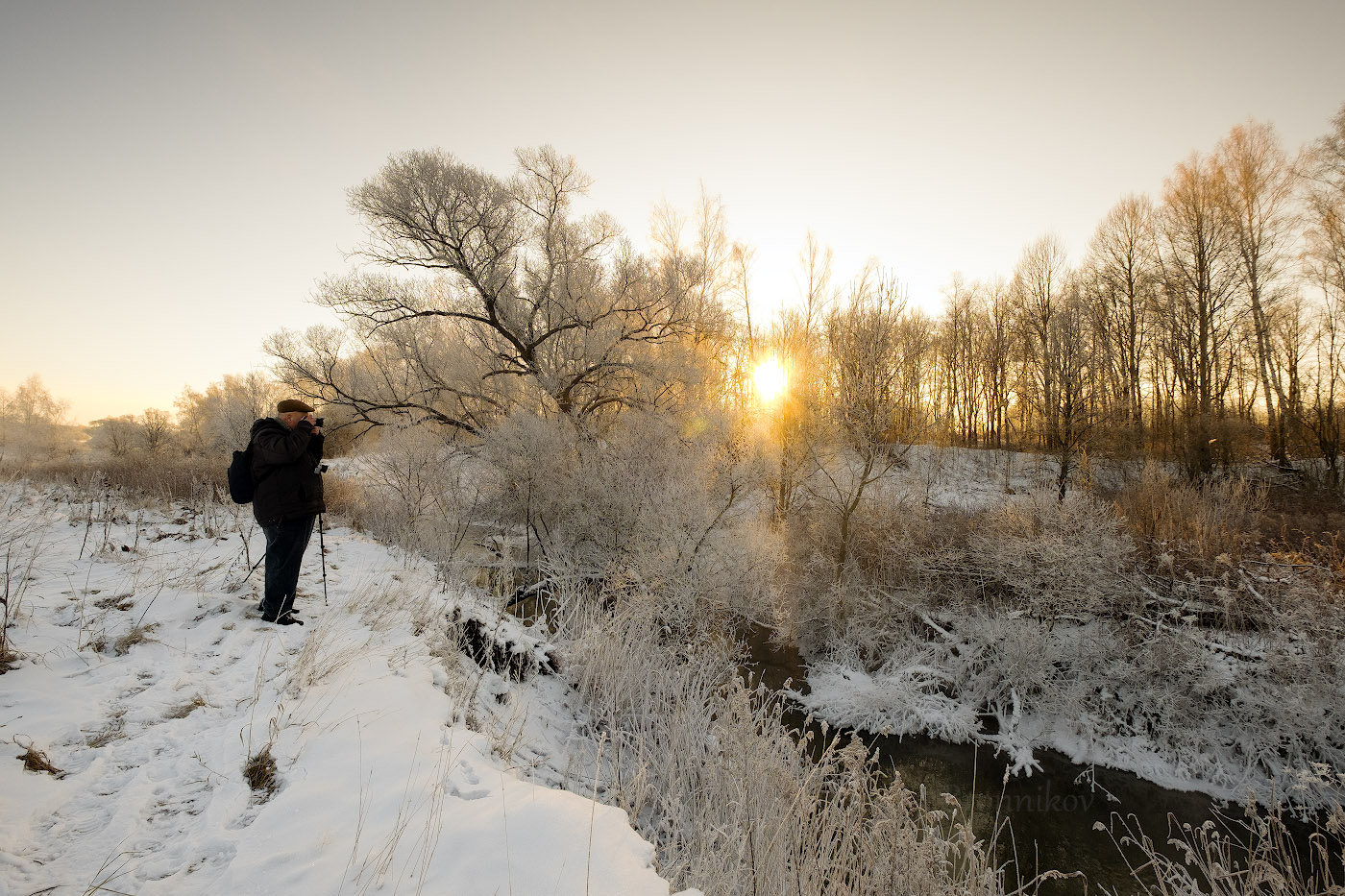 Рассвет,туман,иней..