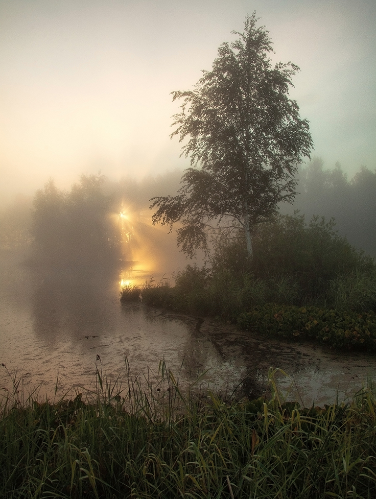 любимое болото 2