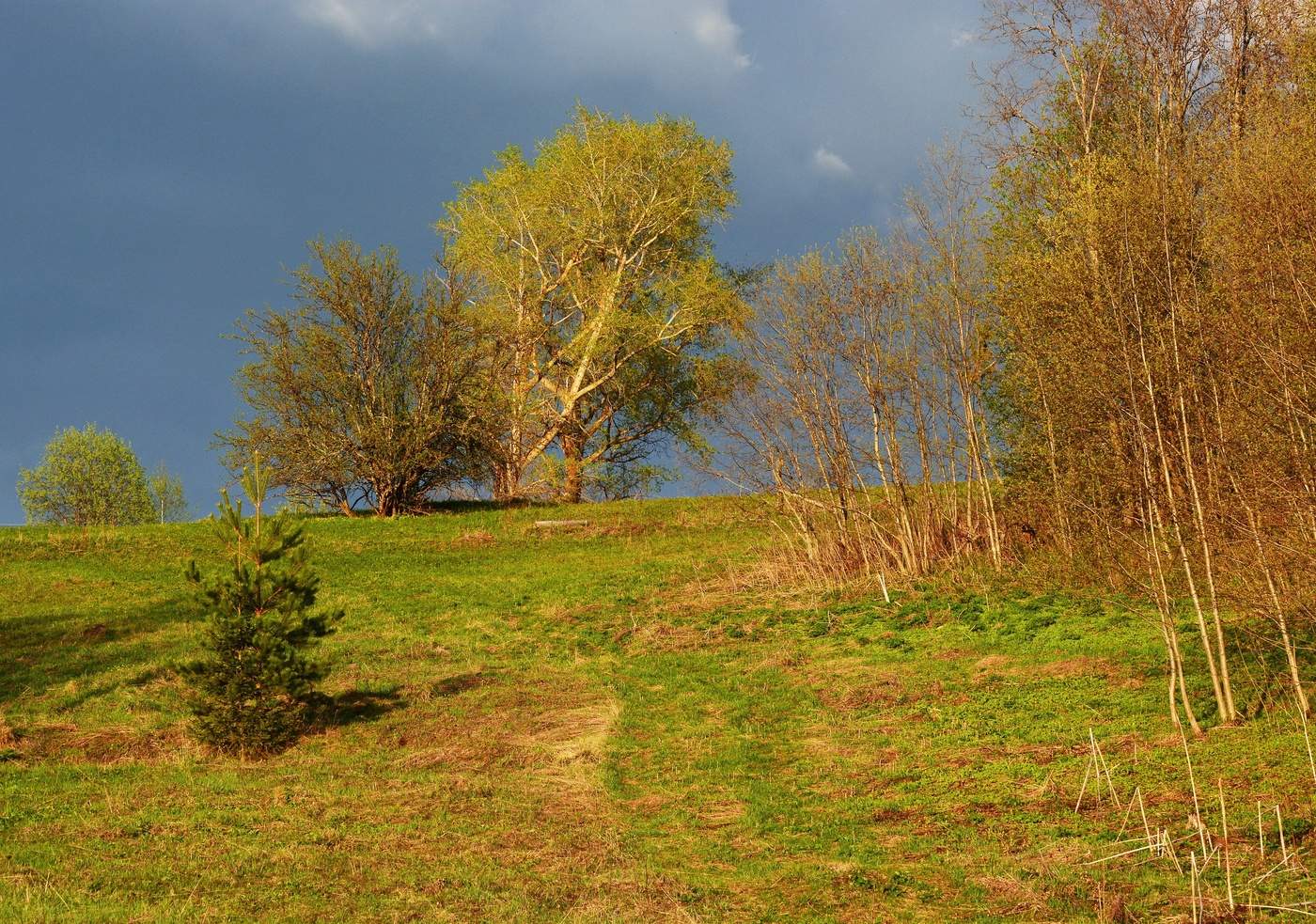 Перед грозой ...