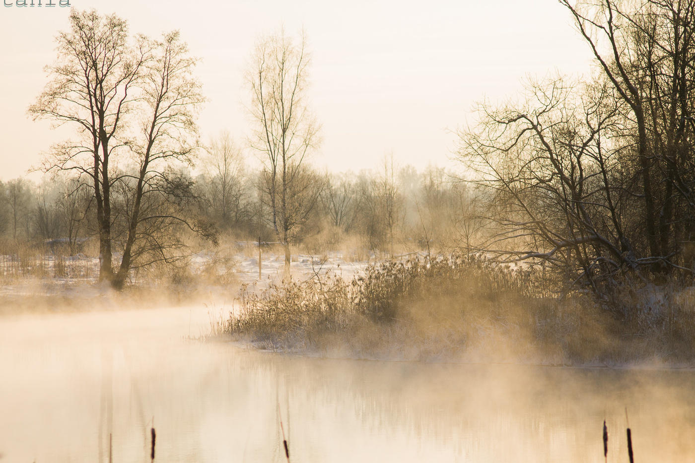 размытость