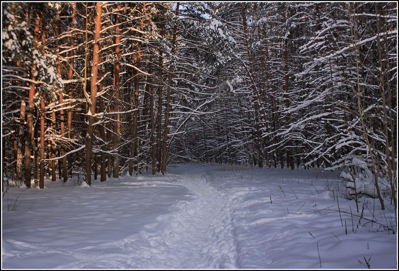 штрихи зимы