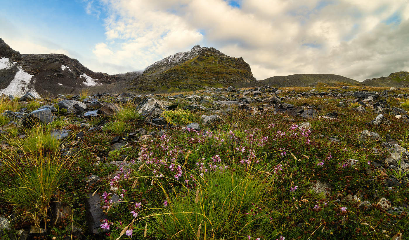 Свежесть утра