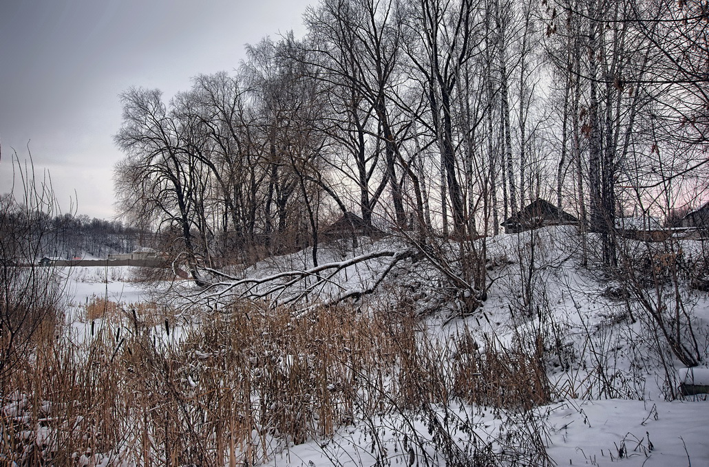 Кракелюры зимы