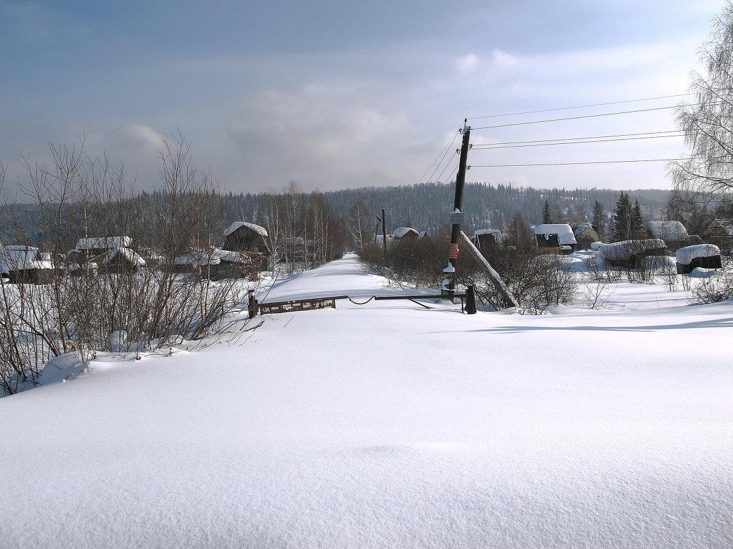 Зимнее безмолвие