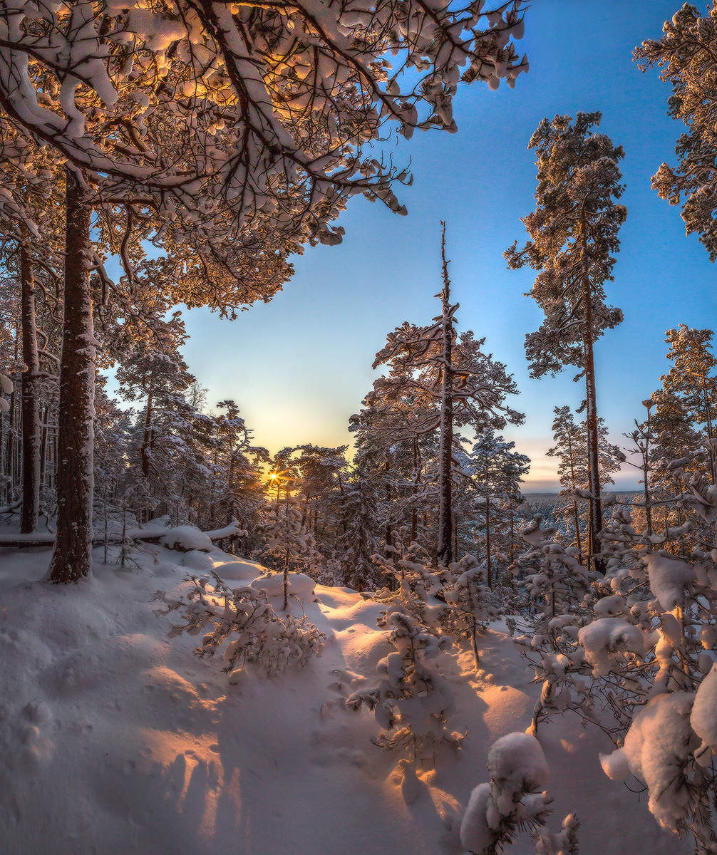 Утренний свет.