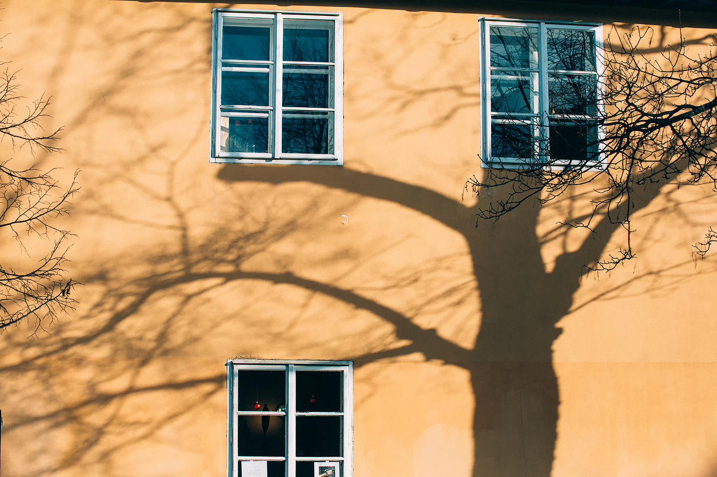 Время сбора урожая