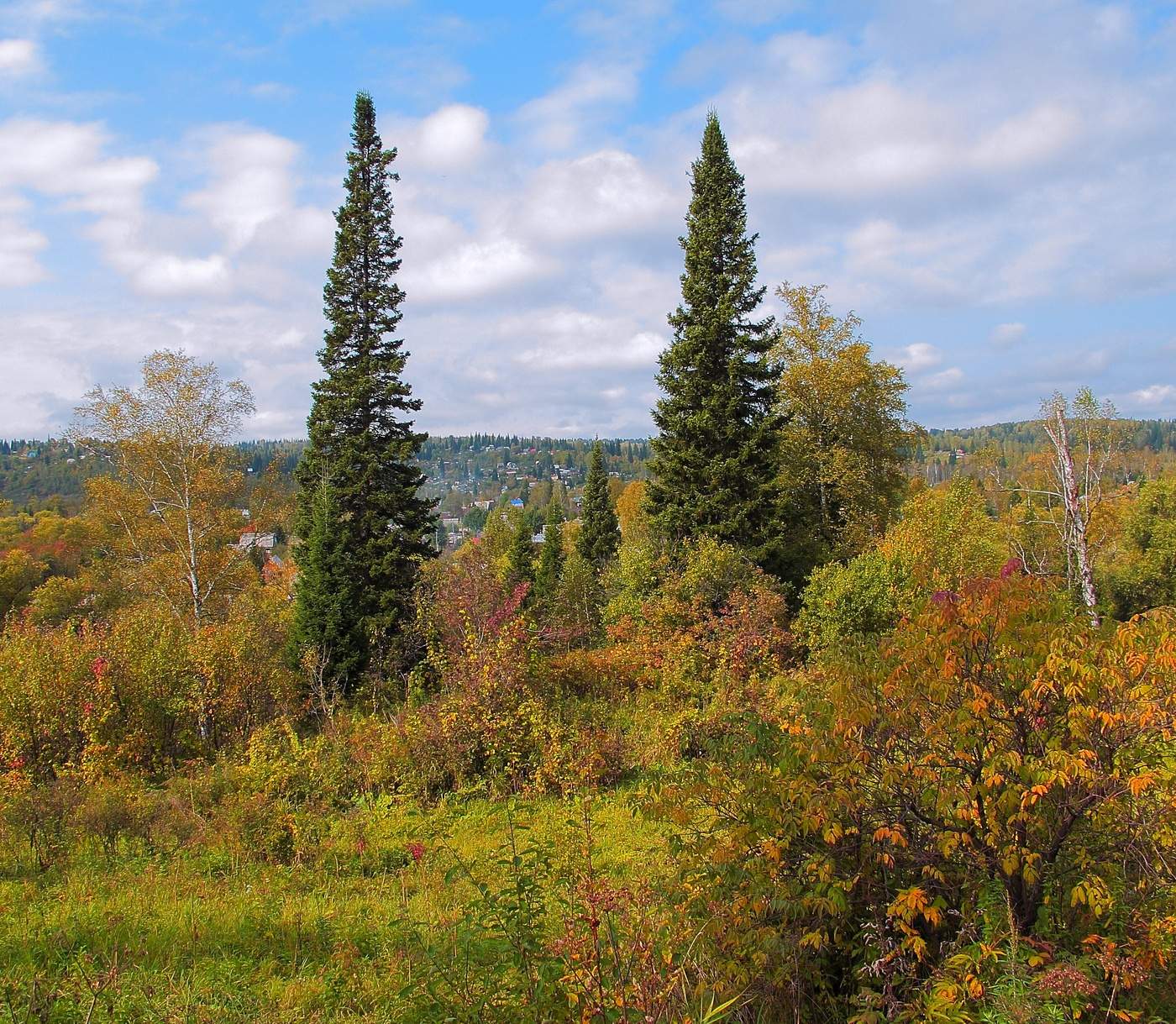 В тайгу пришла осень