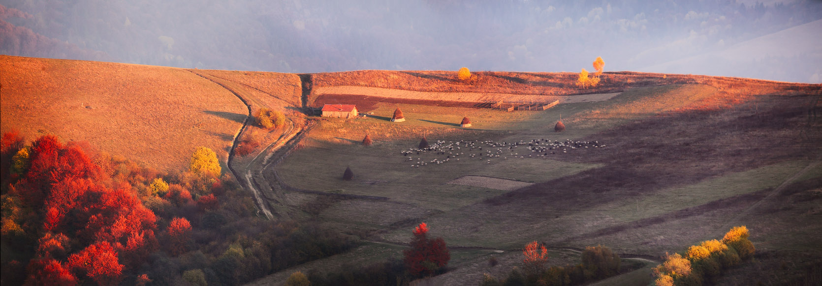 Вечер ноября на Воловецких косогорах