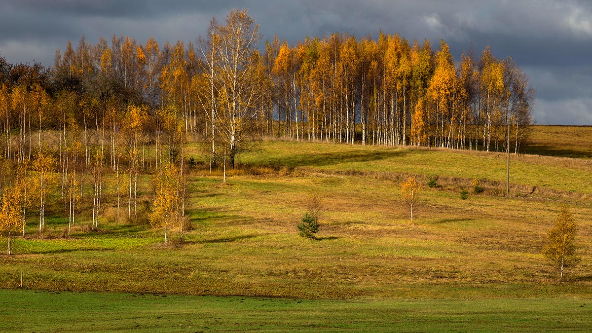 Подрастающее поколение