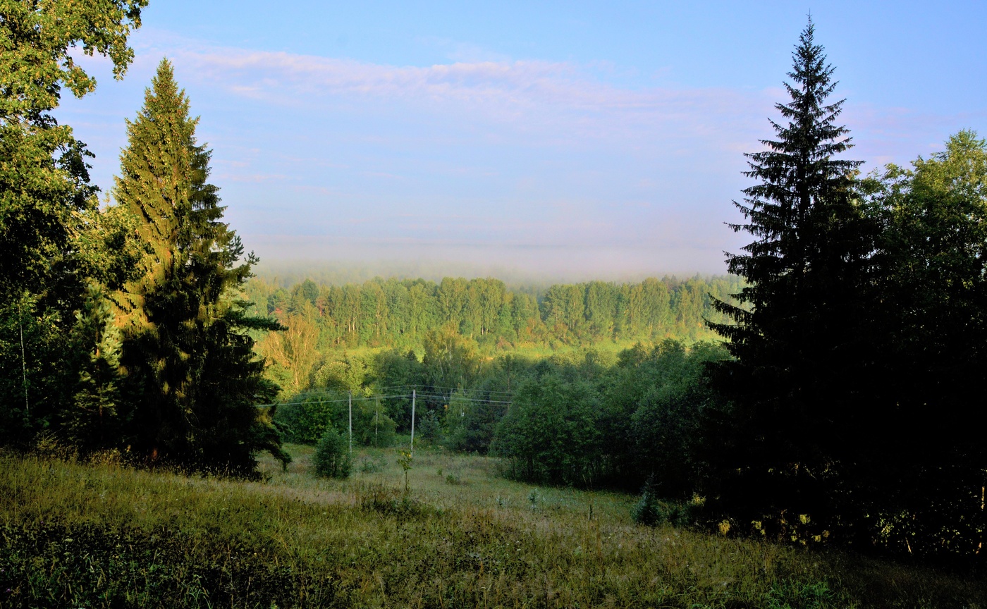 Дивное утро ...