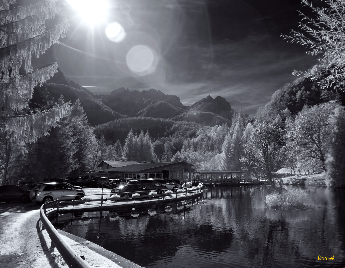 Рифма утреннего света