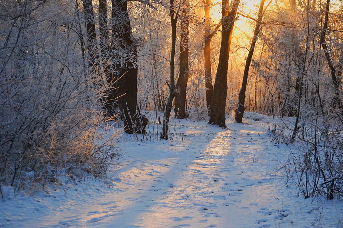 Reim des Morgenlichts