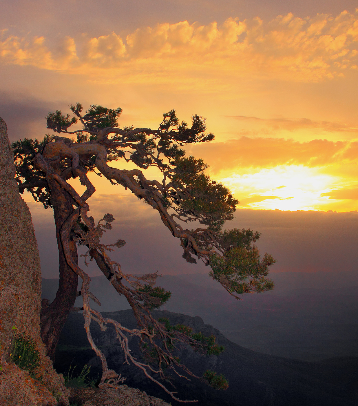 Рифма утреннего света