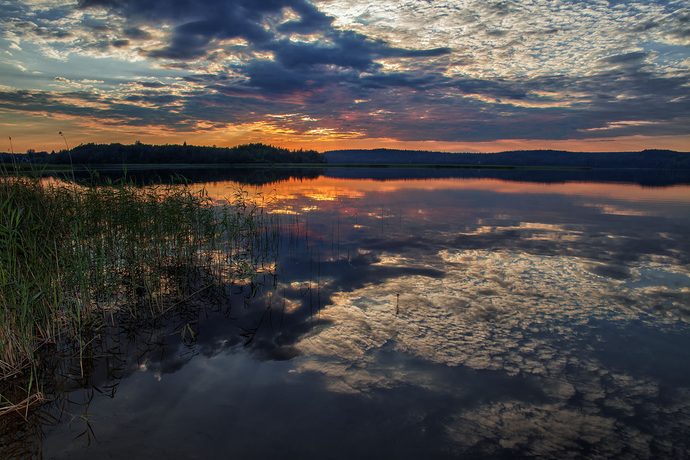 Рифма утреннего света