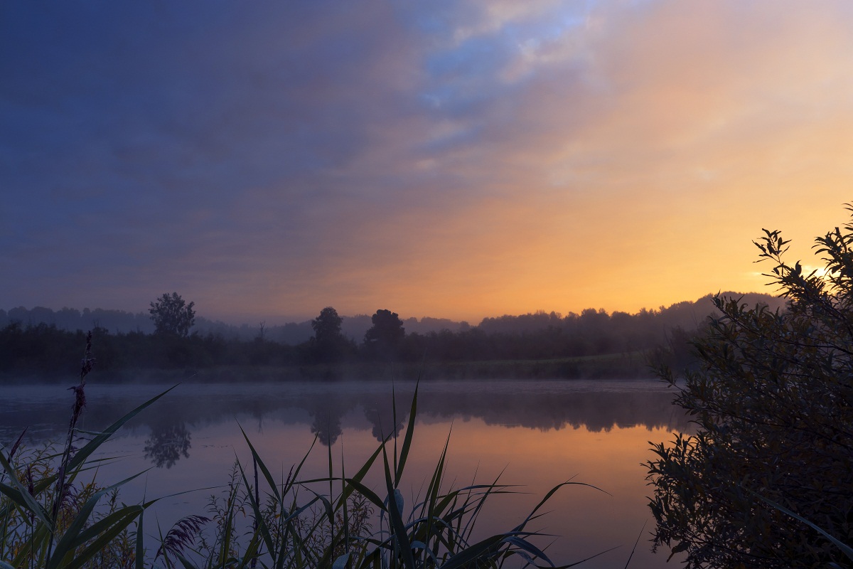 Рифма утреннего света