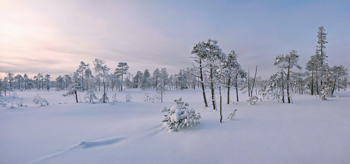 Безмолвный и заснеженный простор...