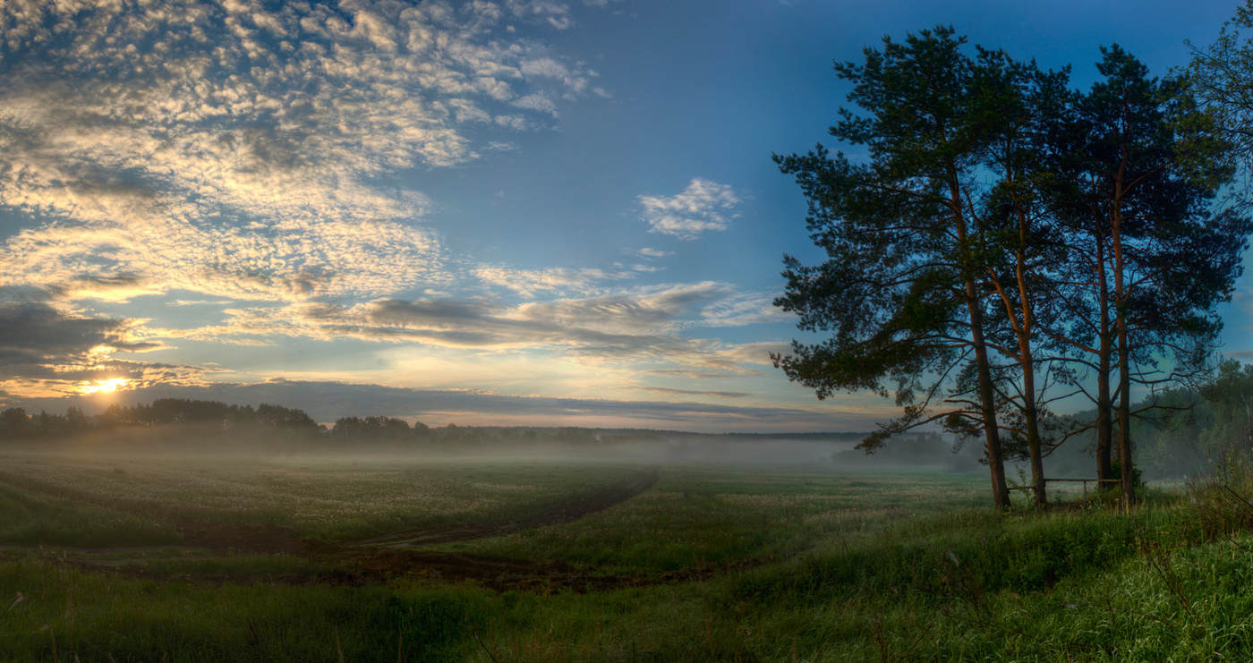 Рифма утреннего света