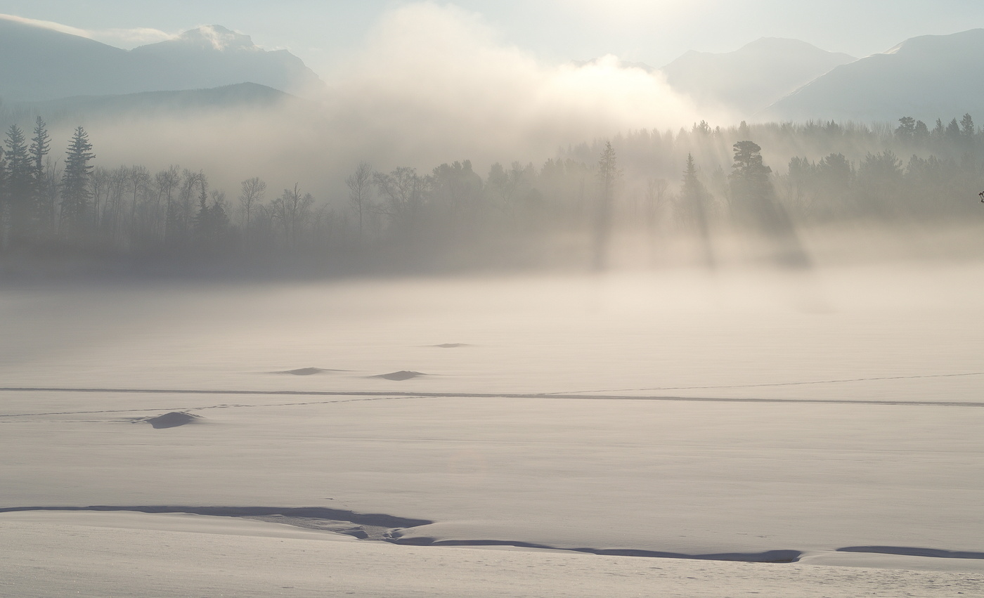 Рифма утреннего света
