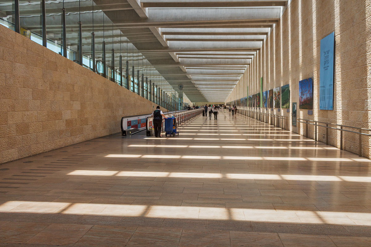 Рифма утреннего света