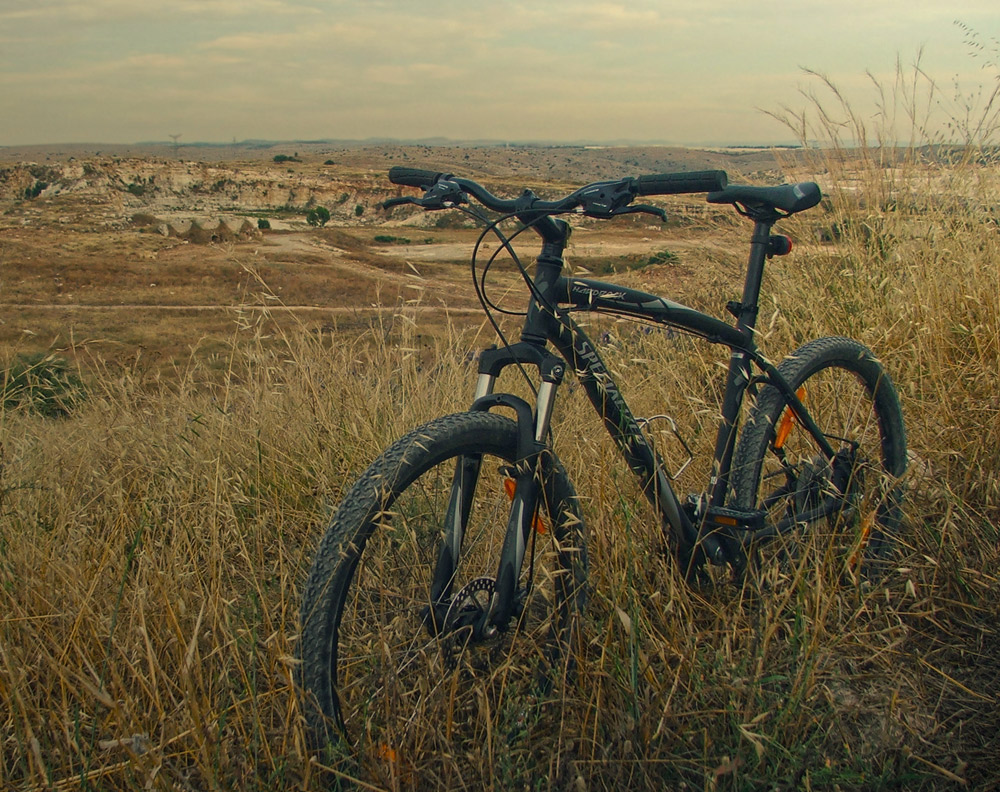Я проеду по жёлтым пейзажам...