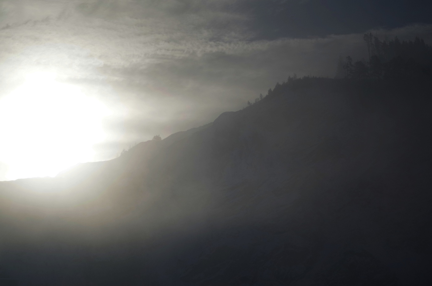 Рифма утреннего света