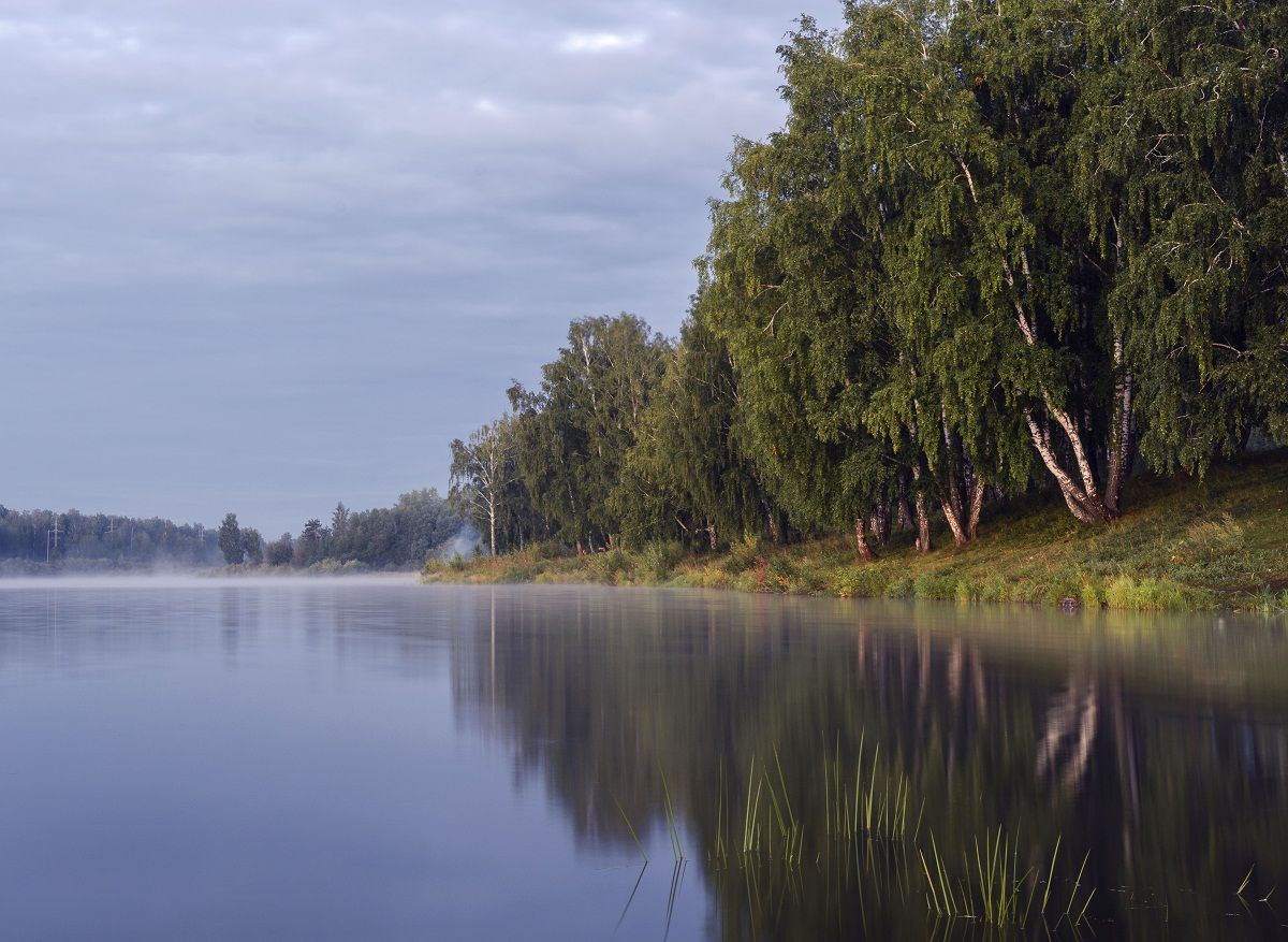 Летние грезы.