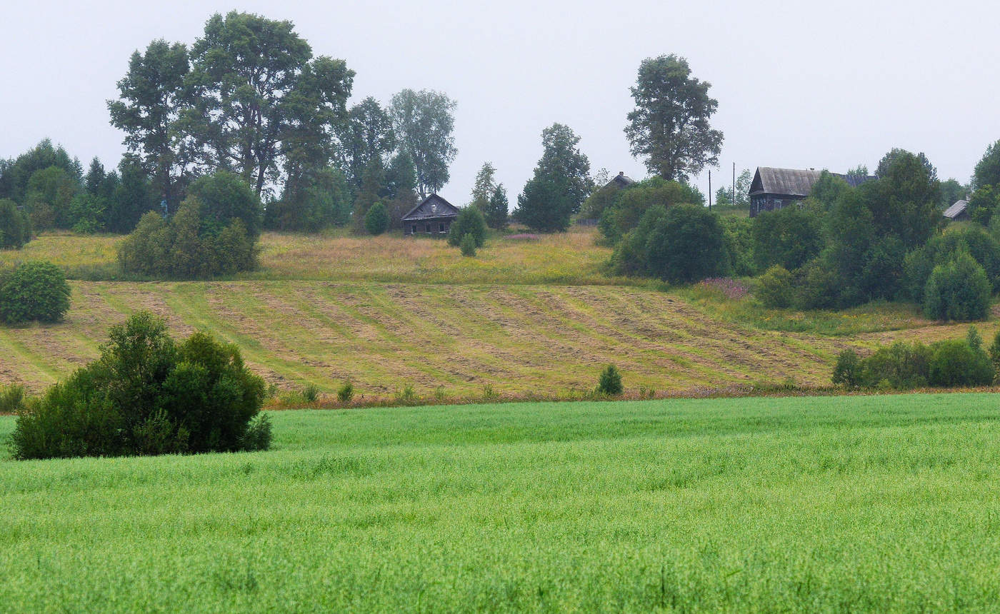 "Я любил этот дом деревянный..."