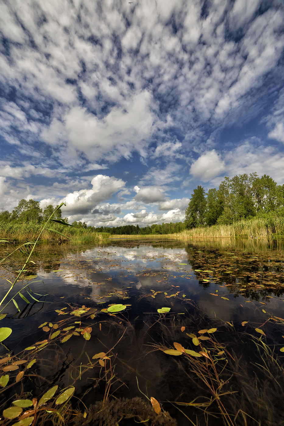 Щучье место...