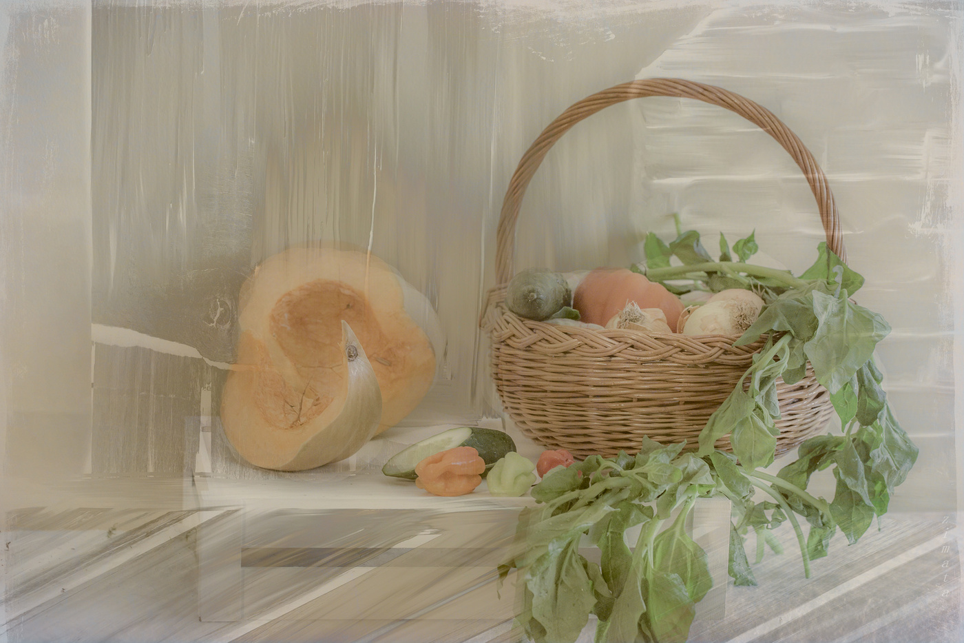 овощи в полутонах