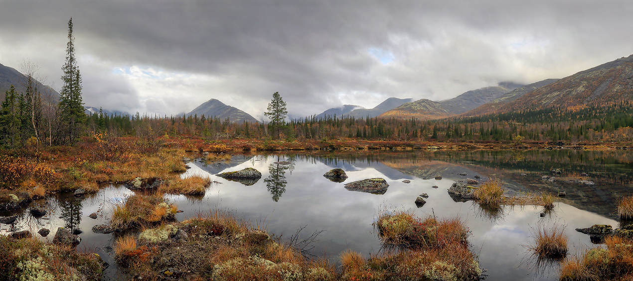 Былых великанов горбатые спины..