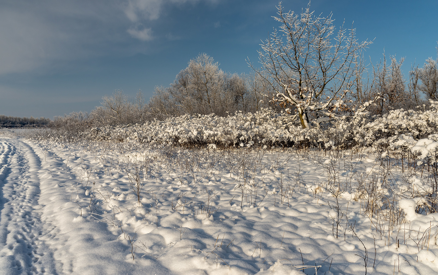Мороз и солнце ...