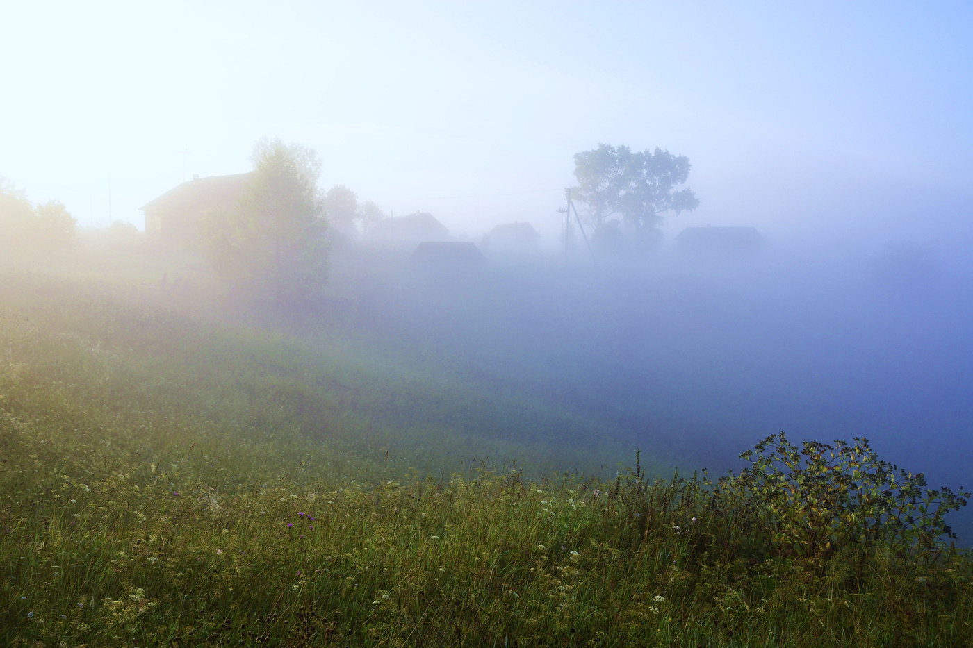 С рассветом туман решил спрятаться в овраге ...