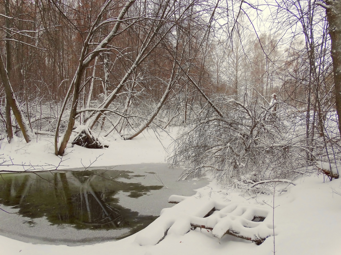 Родниковая крещенская вода