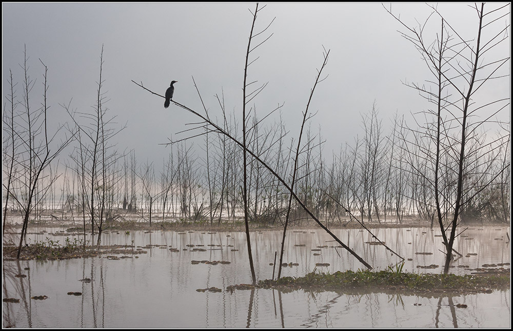 Там водяной...