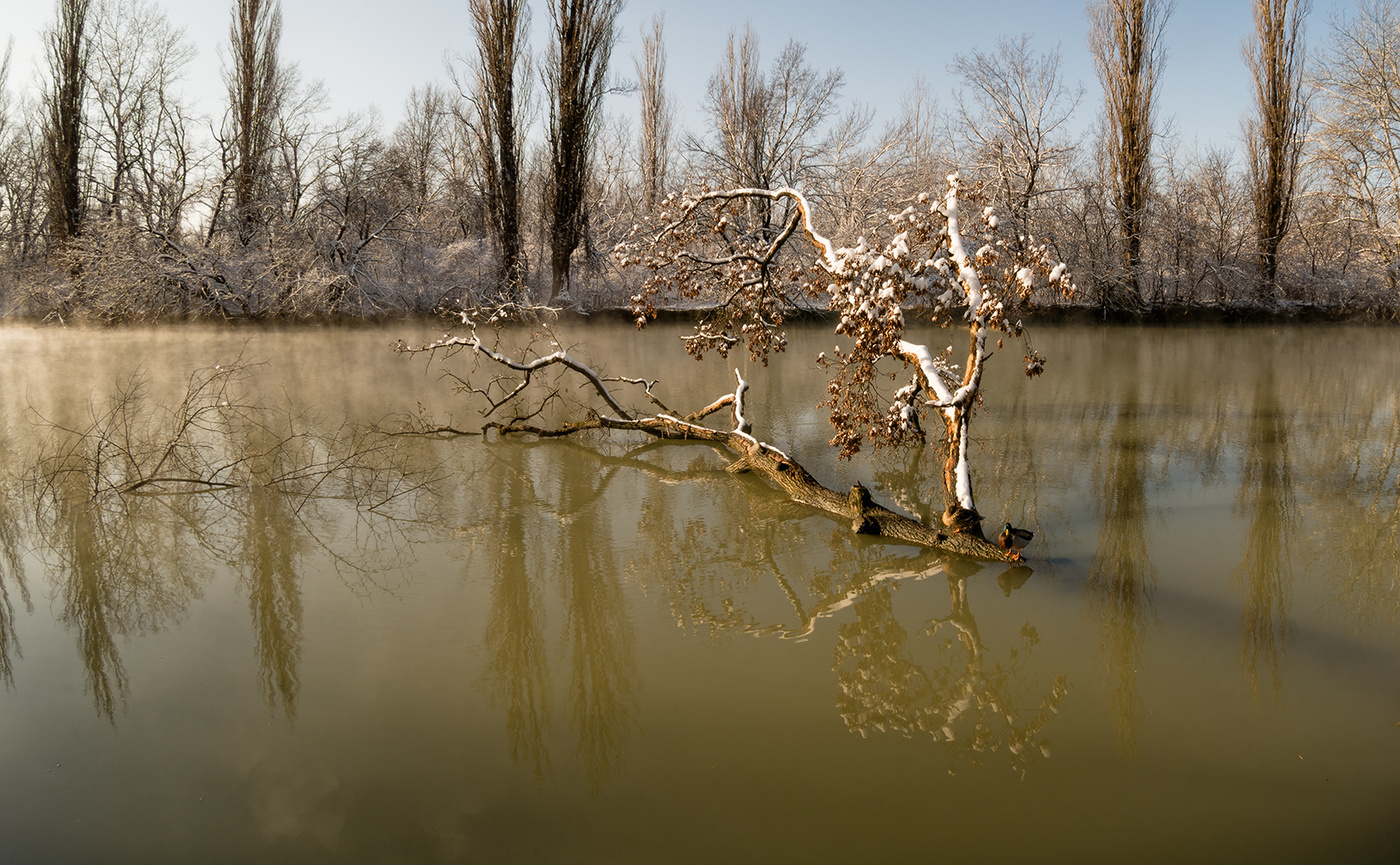 Солнечный денек