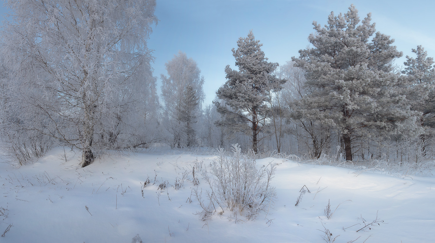 Тихий вечер