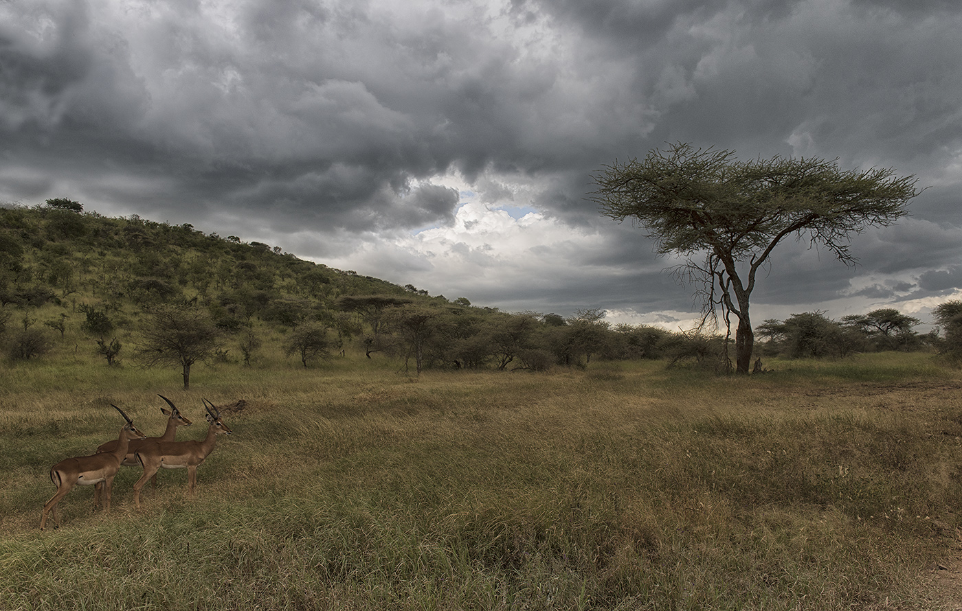 Перед неизвестностью
