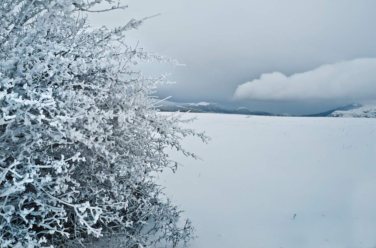 Снежное безмолвие.