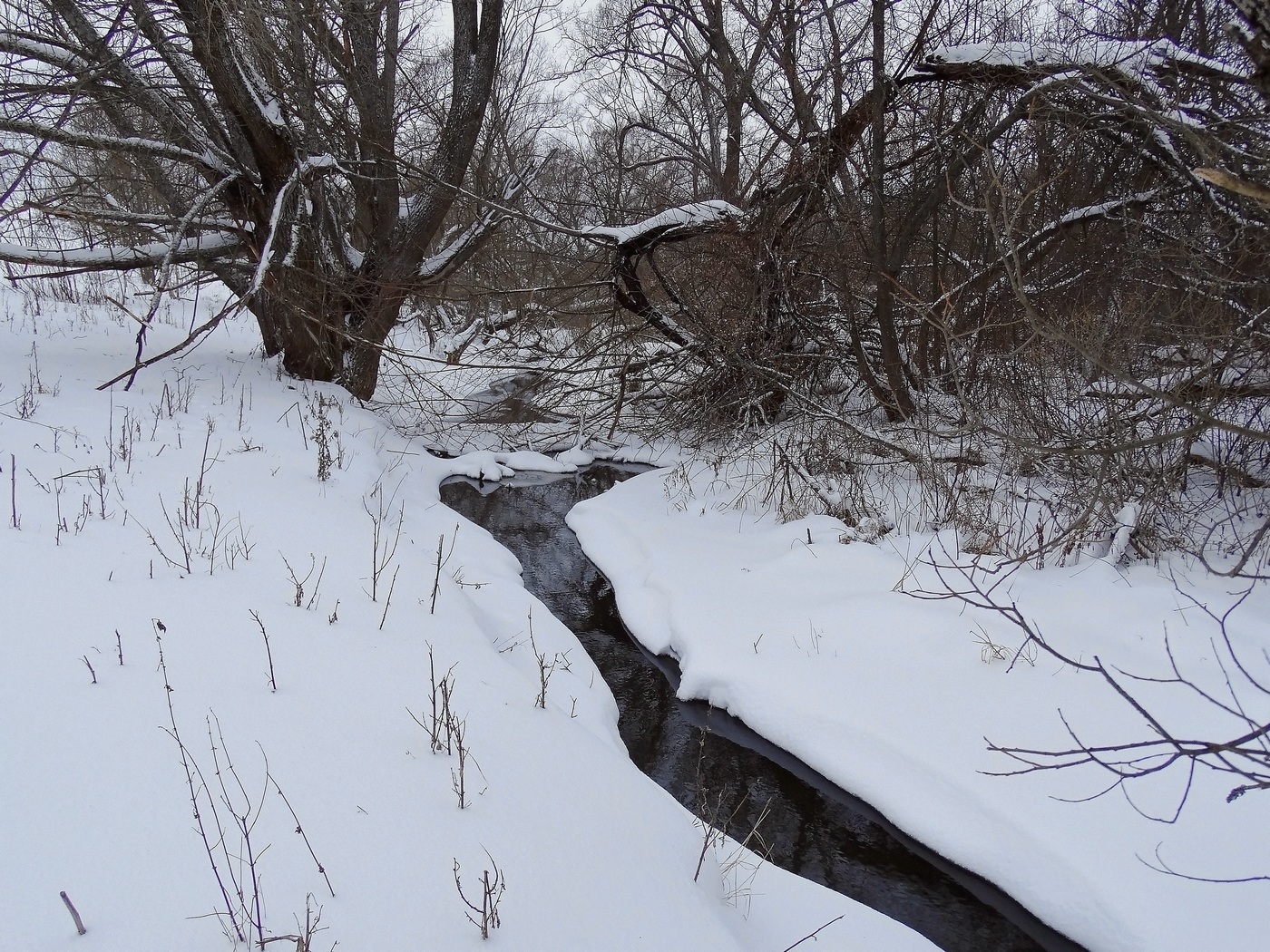 Выбралась из дебрей