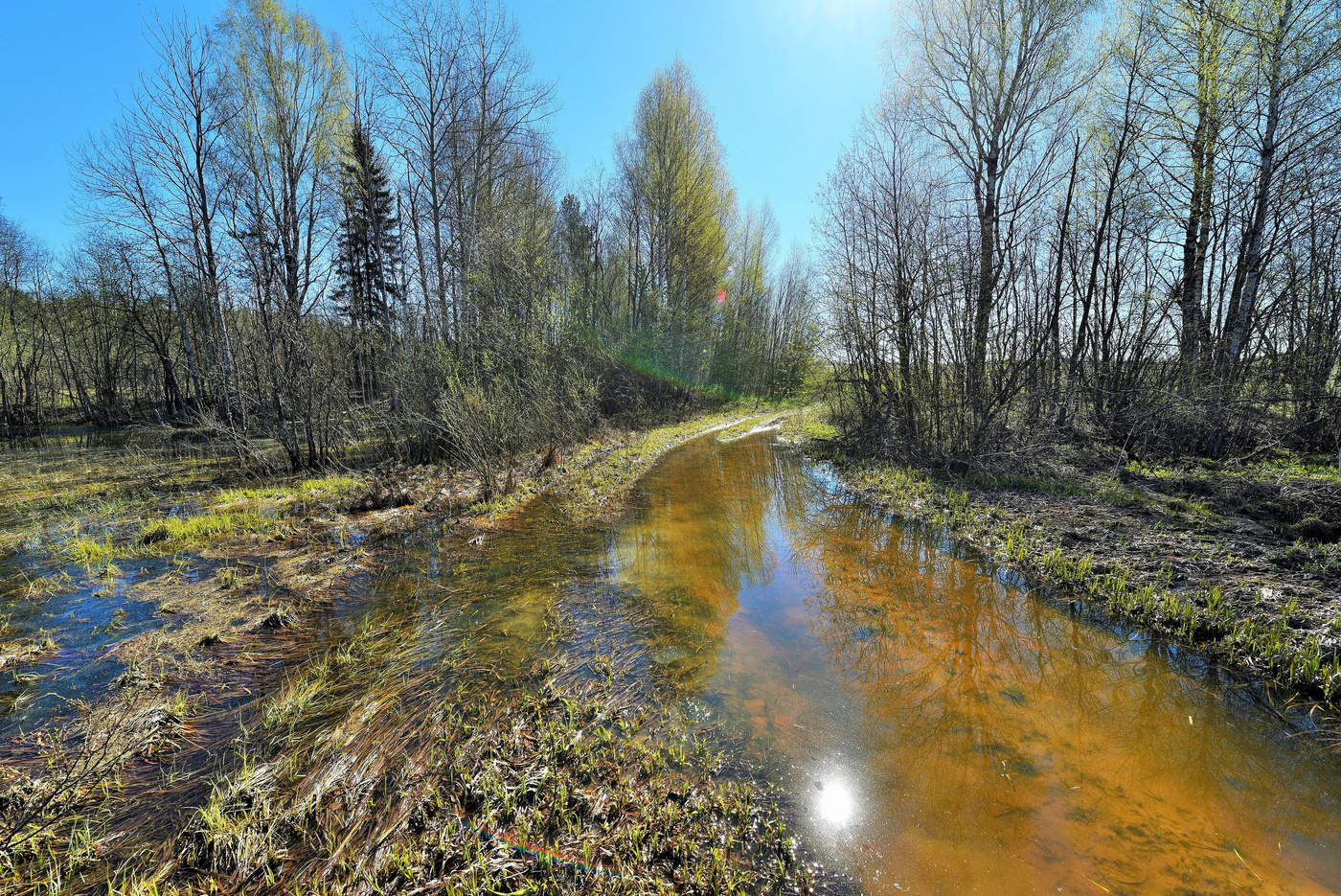 Вешние воды ...