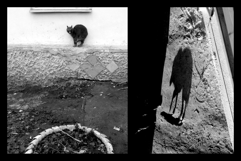 Смысловые галлюцинации