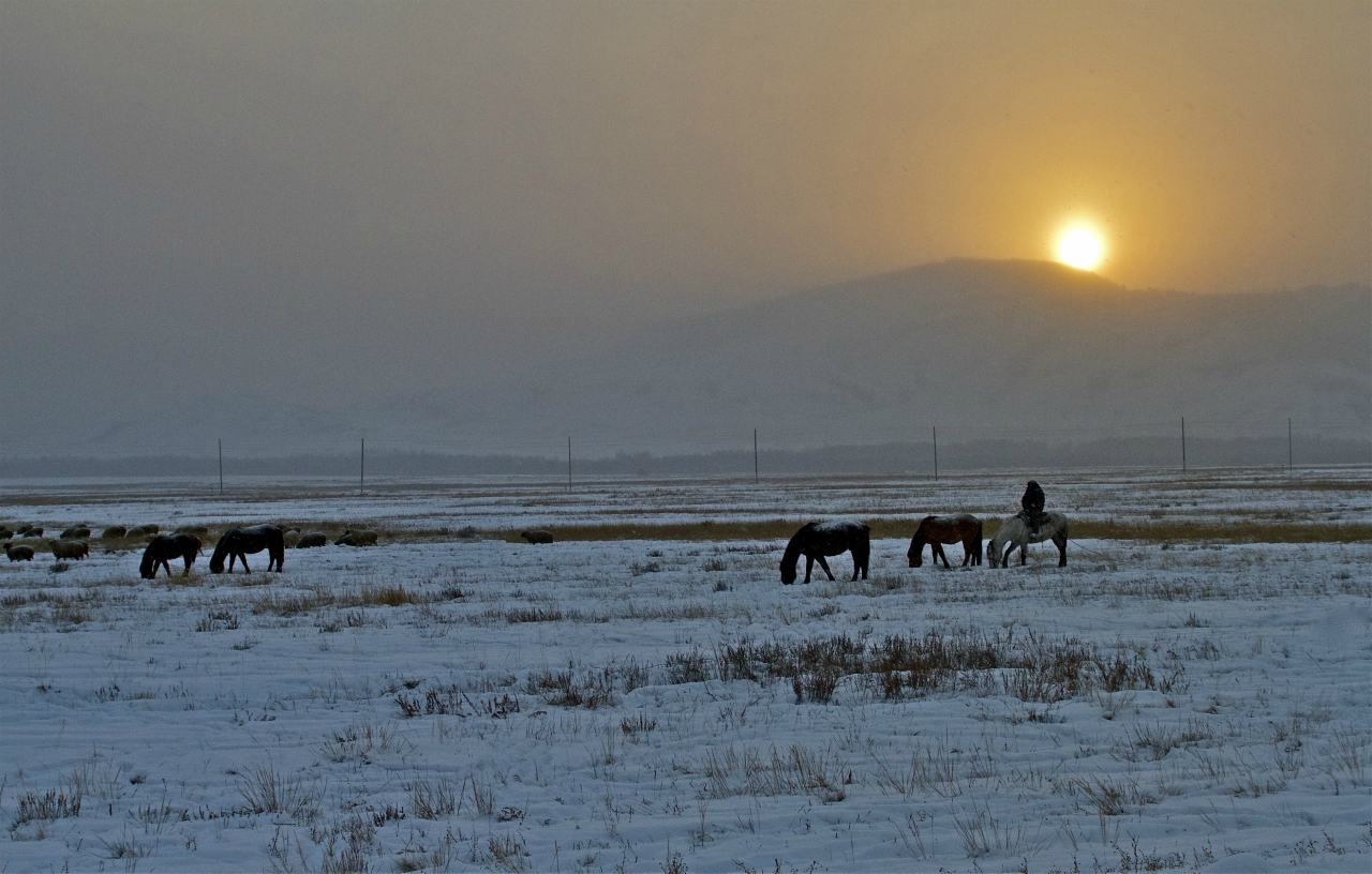 В тувинской степи