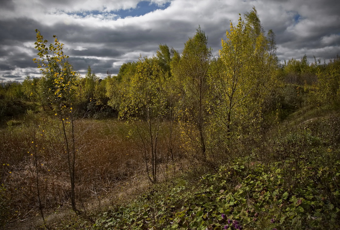 В предвкушении дождя