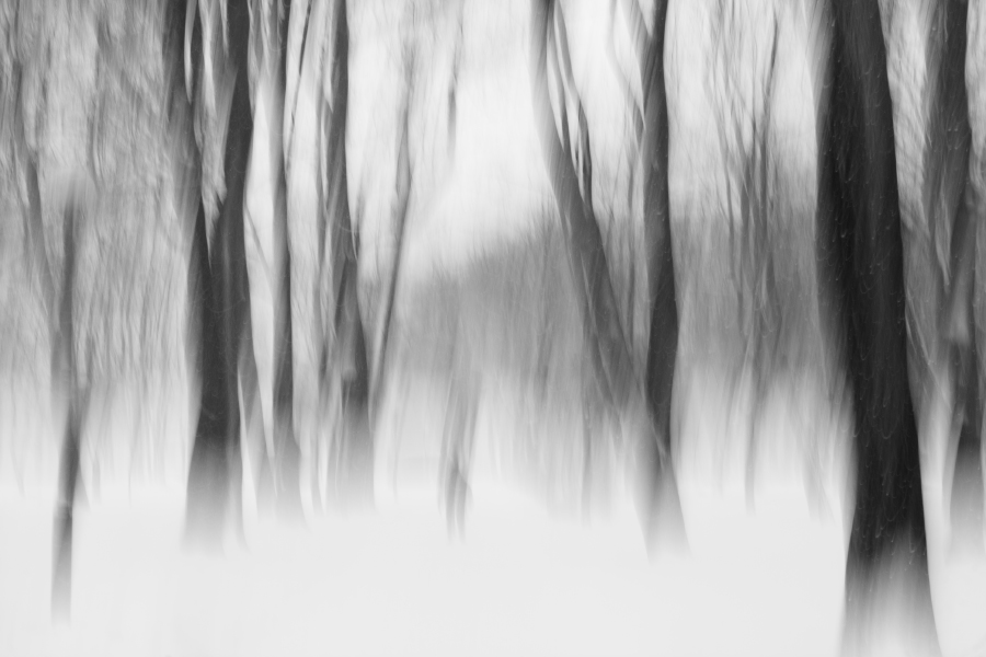 Смысловые галлюцинации