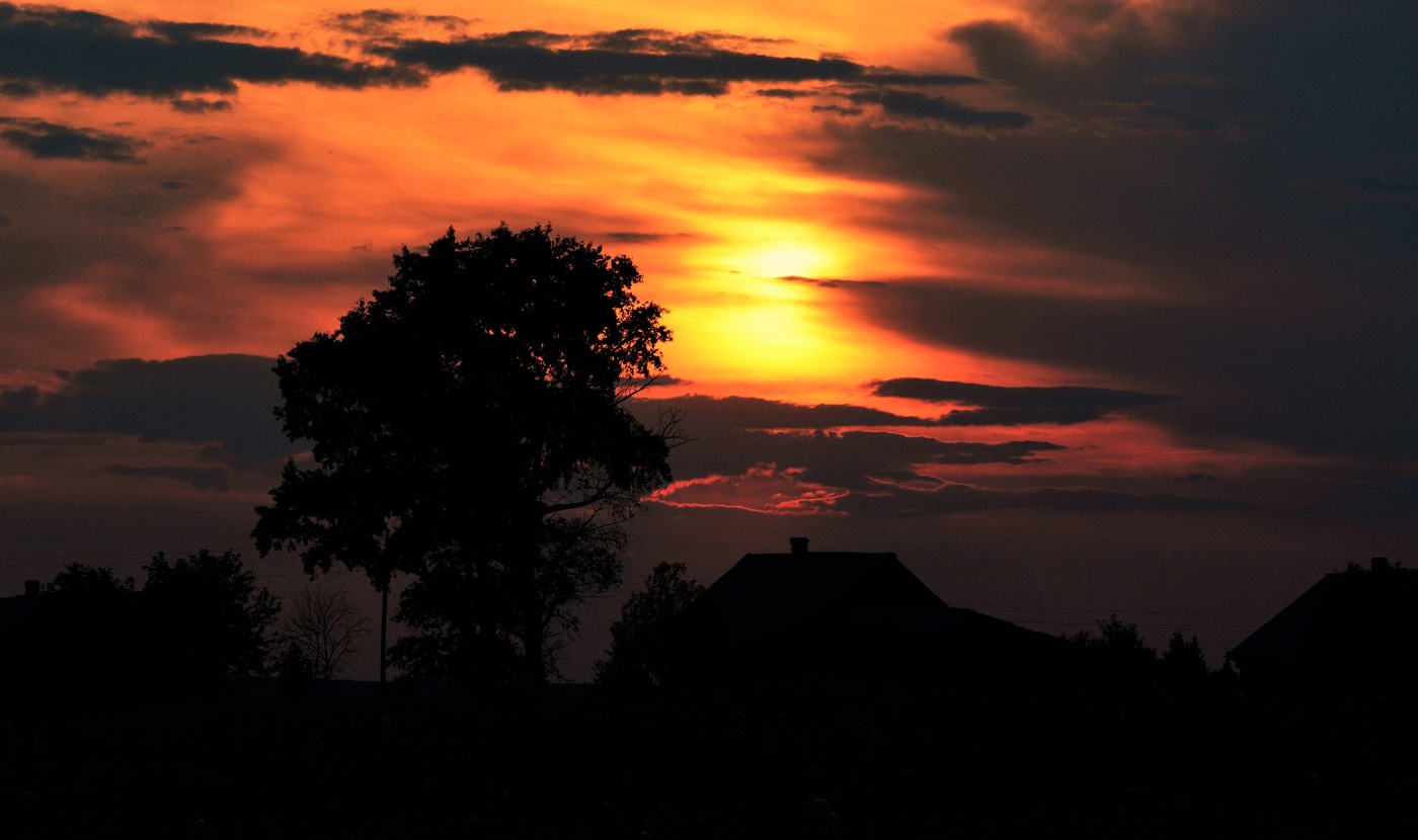 "Отелившееся небо лижет красного телка"...