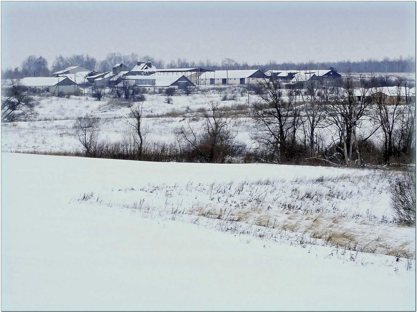 Ферма в снежном плену
