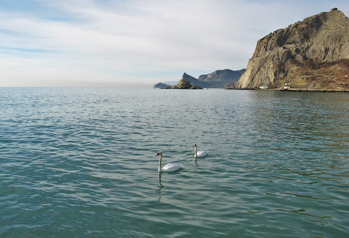 Лебединое море