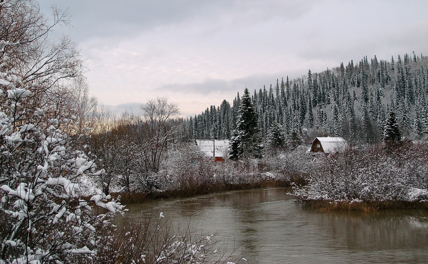 Первый снег в тайге