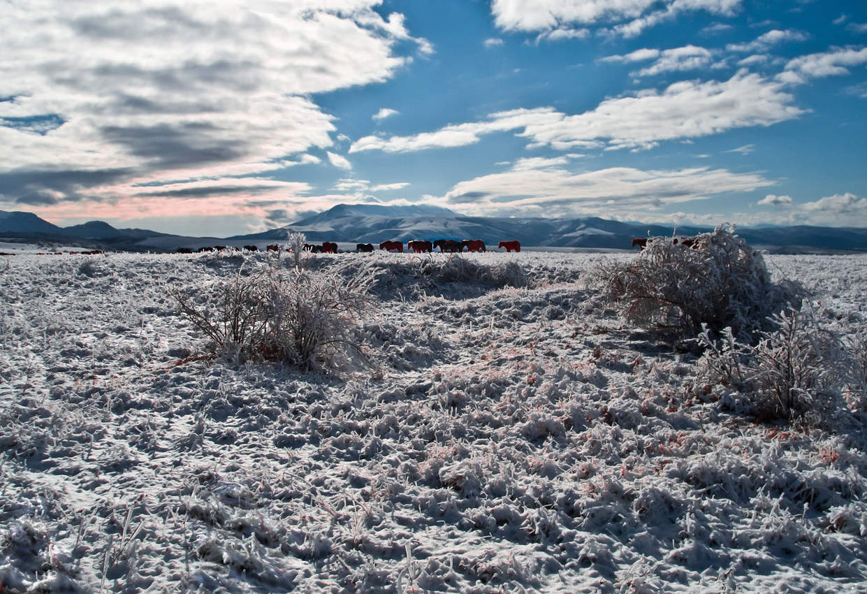 Яйла зимой.
